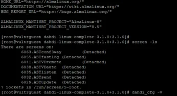 How to migrate from CentOS 8 to AlmaLinux 8.5(conversion)